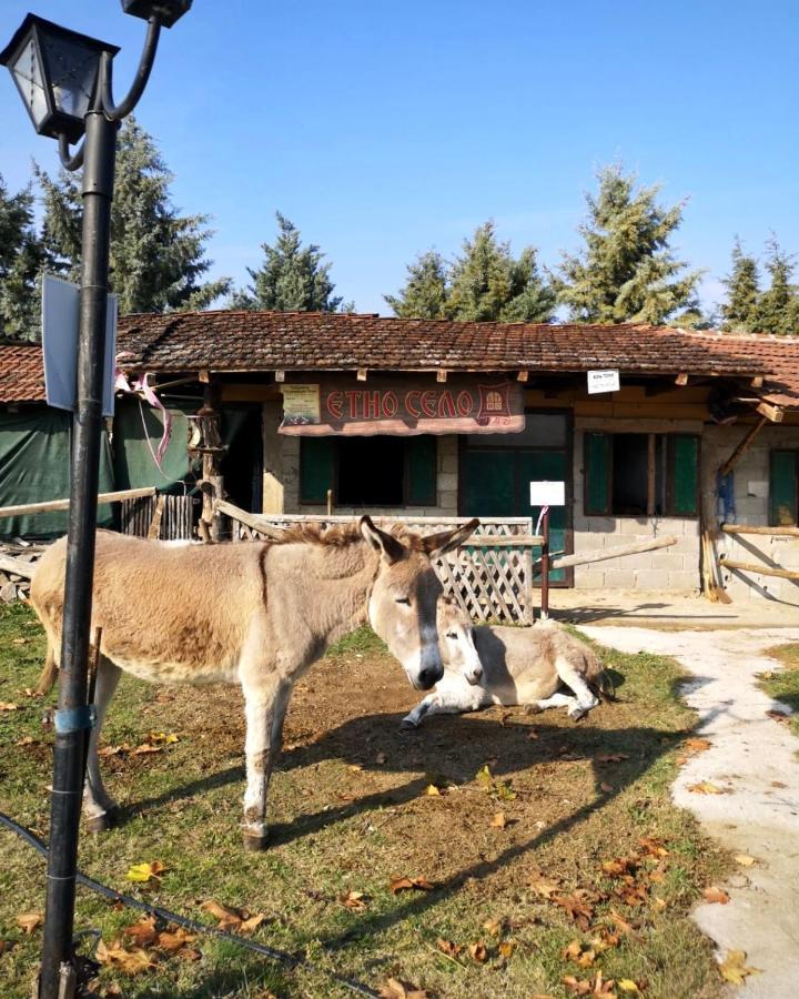 Etno Selo Timcevski Complex Vojnik エクステリア 写真